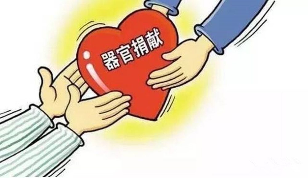 睿普普法|每周一"典": 确立捐献人体器官规范